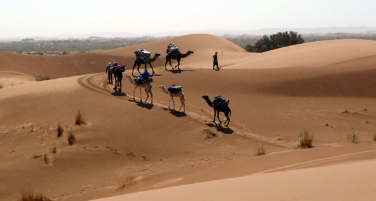 Im grossen Süden von Marokko gibt es mehrere Dünengebiete, hier der Erg Chegaga