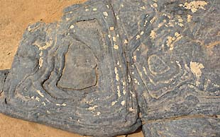 Fossilien am Südhang des Djebel Bani, Grand Sud, Marokko