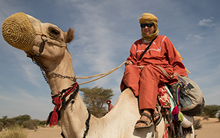 Kamelreiten im Sudan