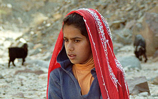 Junger Beduine mit Ziegenherde, Sinai