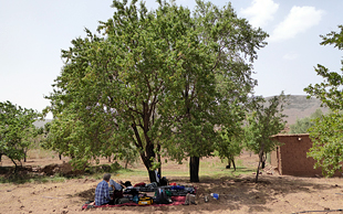 Rastplatz unter Mandelbaum, Djebel Saghro, Marokko