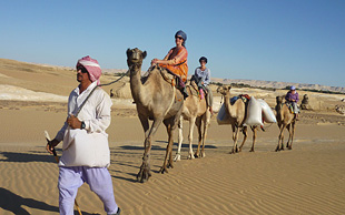In der Weissen Wüste wird auf Dromedaren geritten, Ägypten