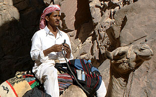 Beduinen vom Stamm der Muzeina begleiten die Karawane, Sinai